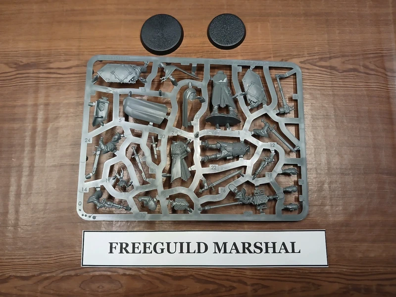 Freeguild Marshal + Relic Envoy for the Cities of Sigmar Warhammer Age Of Sigmar AOS