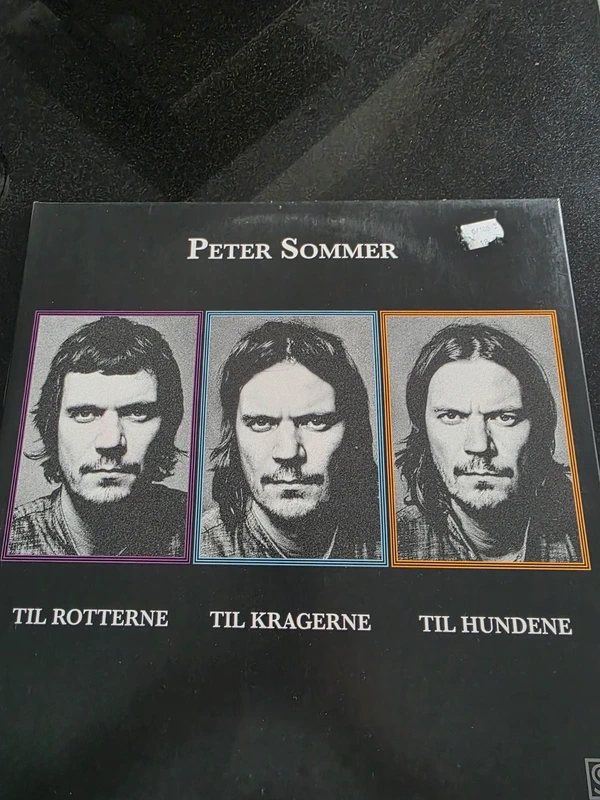 Vinyl record Peter Sommer