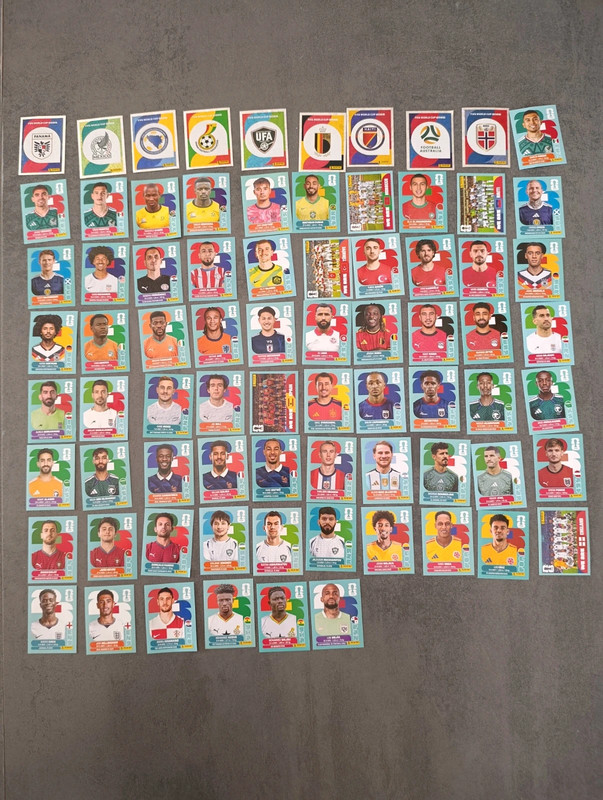 76 images panini coupe du monde 26