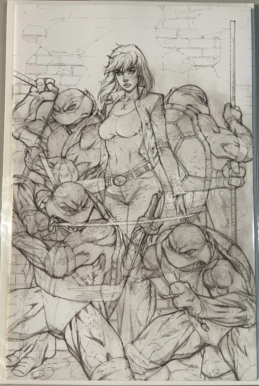 TMNT #20 (300°) J SCOTT CAMPBELL SKETCH BORSA CIECA ESCLUSIVA 