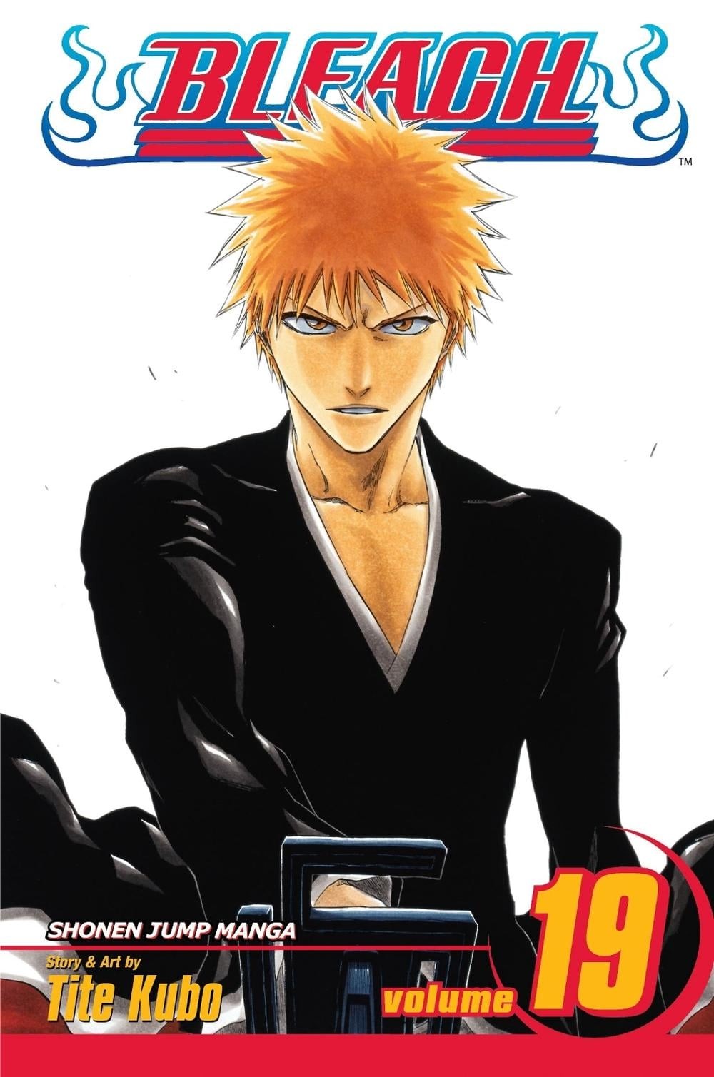 Candeggina, vol. 19: La luna nera che sorge di Tite Kubo (inglese) libro tascabile