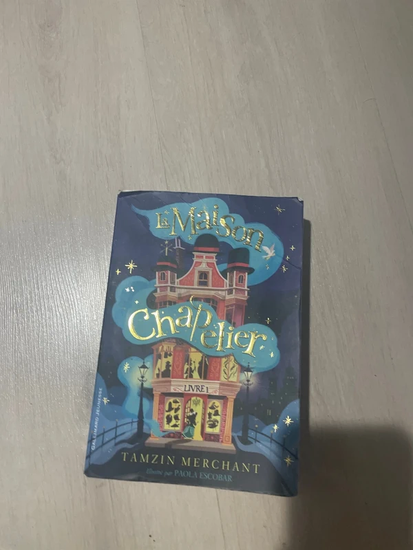 Livre la maison chapelier