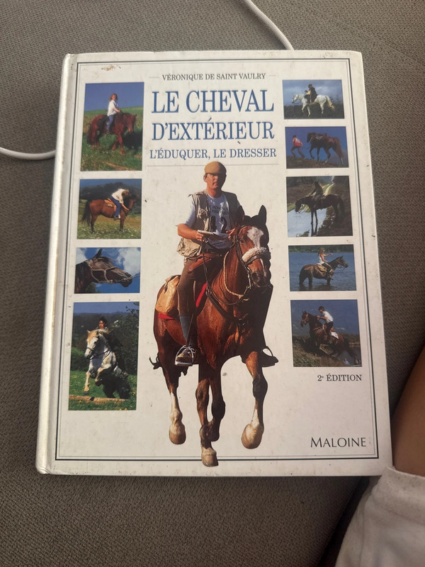 Le cheval d’extérieur