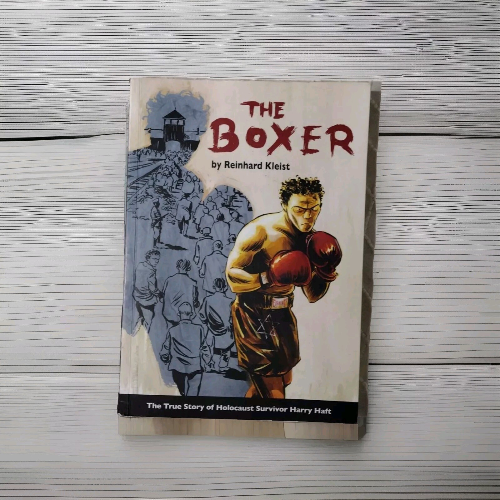 The Boxer True Story Of Holocaust Survivor Harry Haft Reinbard Kleist