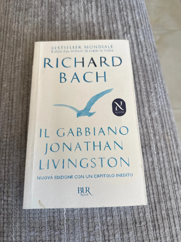 Il Gabbiano Di Jonathan Livingston