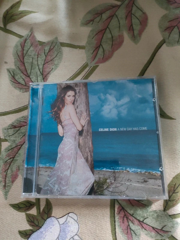 Celine Dion - a new day has come