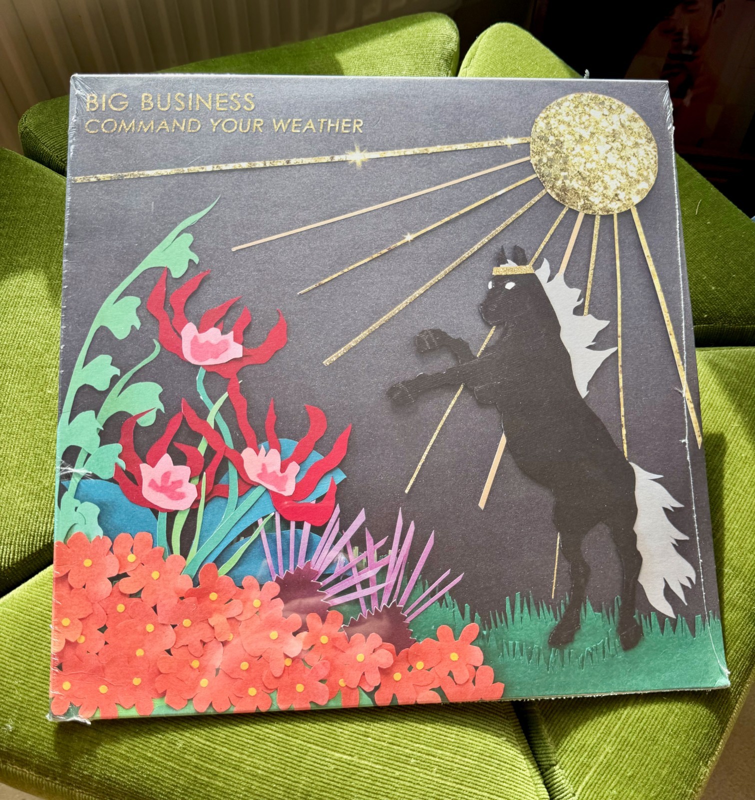 Big Business Command Your Weather LP Vinyl 2016 Sealed Melvins Joyful Noise Rock