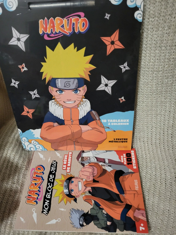 Lot livres Naruto