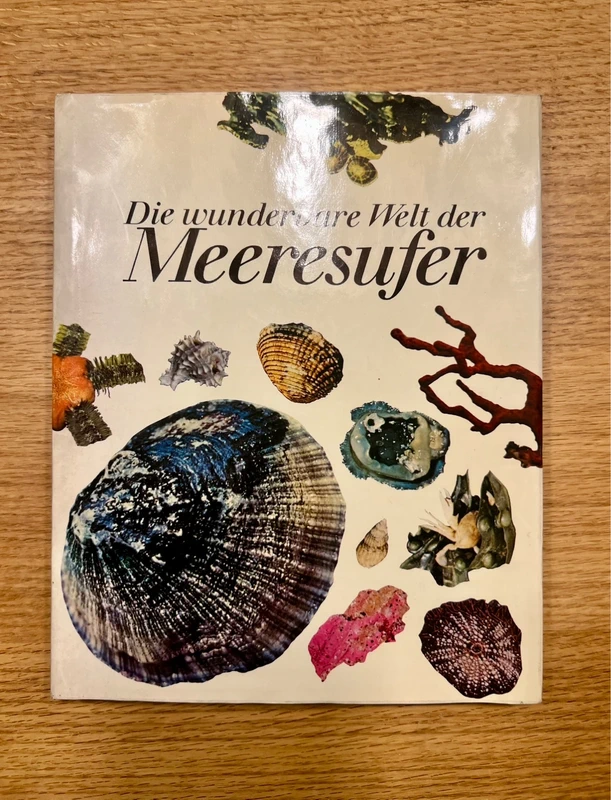 „Die wunderbare Welt der Meeresufer“