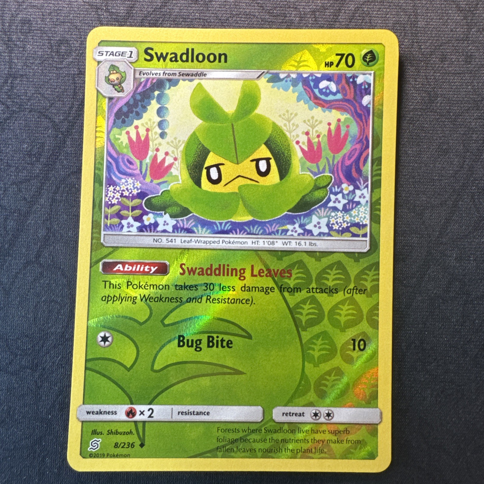 Swadloon 8/236 Sm-Unified Minds Reverse Holo Sole e Luna Pokemon