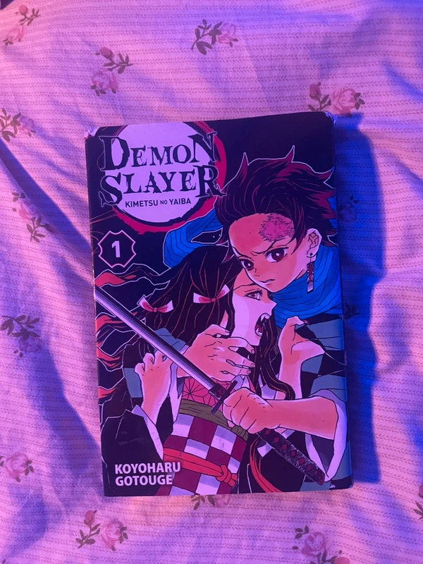 manga demon slayer tome 1/2/3/4/5/6/7/8