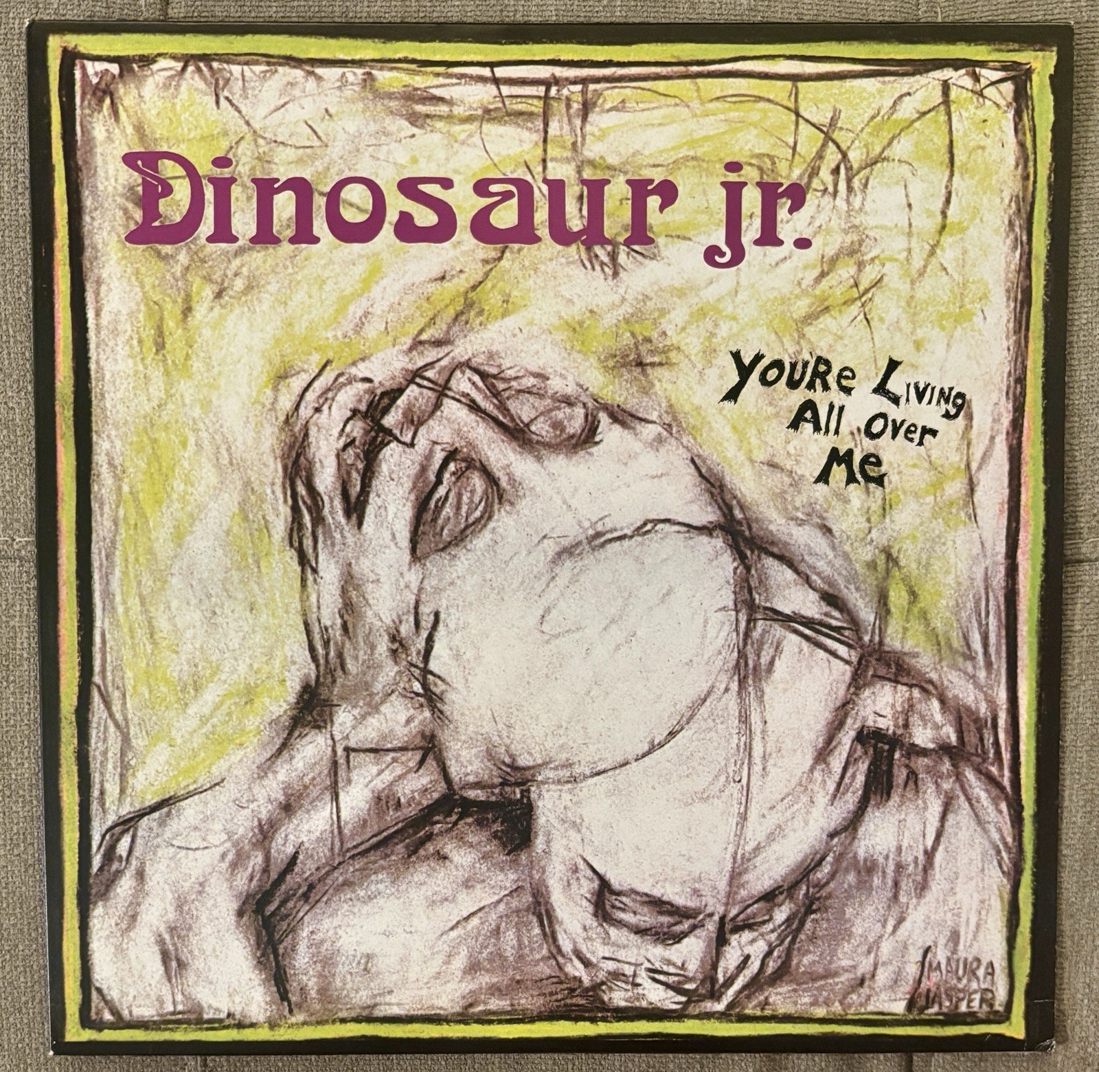 Vinyl LP Dinosaur Jr. You’re Living All Over Me 2011 Jagjaguwar Indie Rock EX