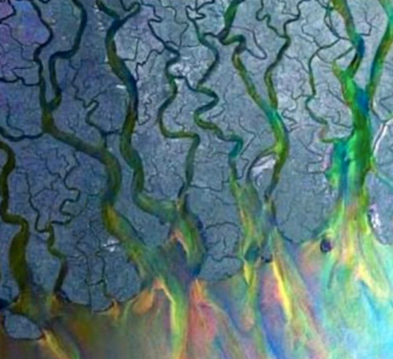 Vinile Alt j An Awesome Wave (Deluxe Edition)