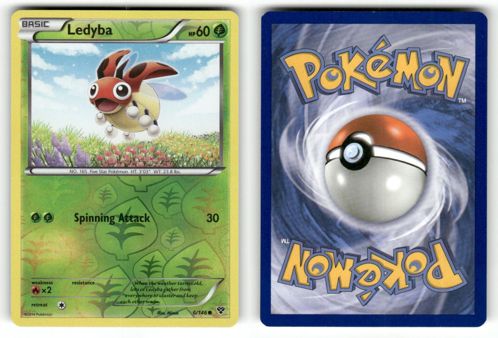 LEDYBA XY BASE SET 6/146 COMMON POKEMON REVERSE HOLO LP B1-1-436