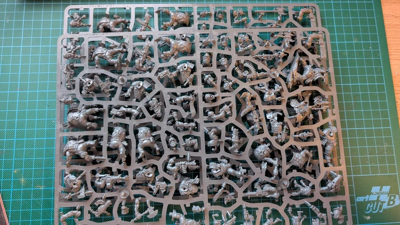 20 Ork Boyz + 10 Gretchin – Warhammer 40k (neufs sur grappe)