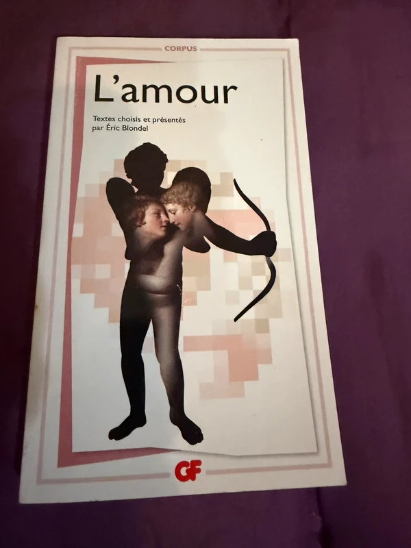 L’Amour texte, choisi par Éric Blondel, GF, Flammarion, description à lire. Merci