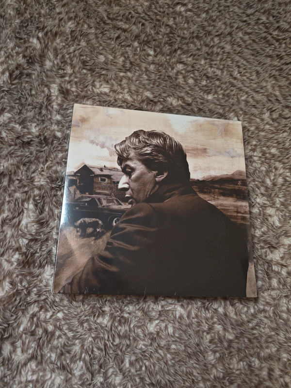 Vinyle Alain Bashung blue pétrole