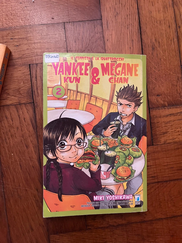 Il teppista e la quattr’occhi Yankee kun e Megane Chan