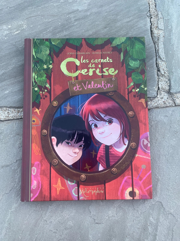 Livre les carnets de cerise et Valentin