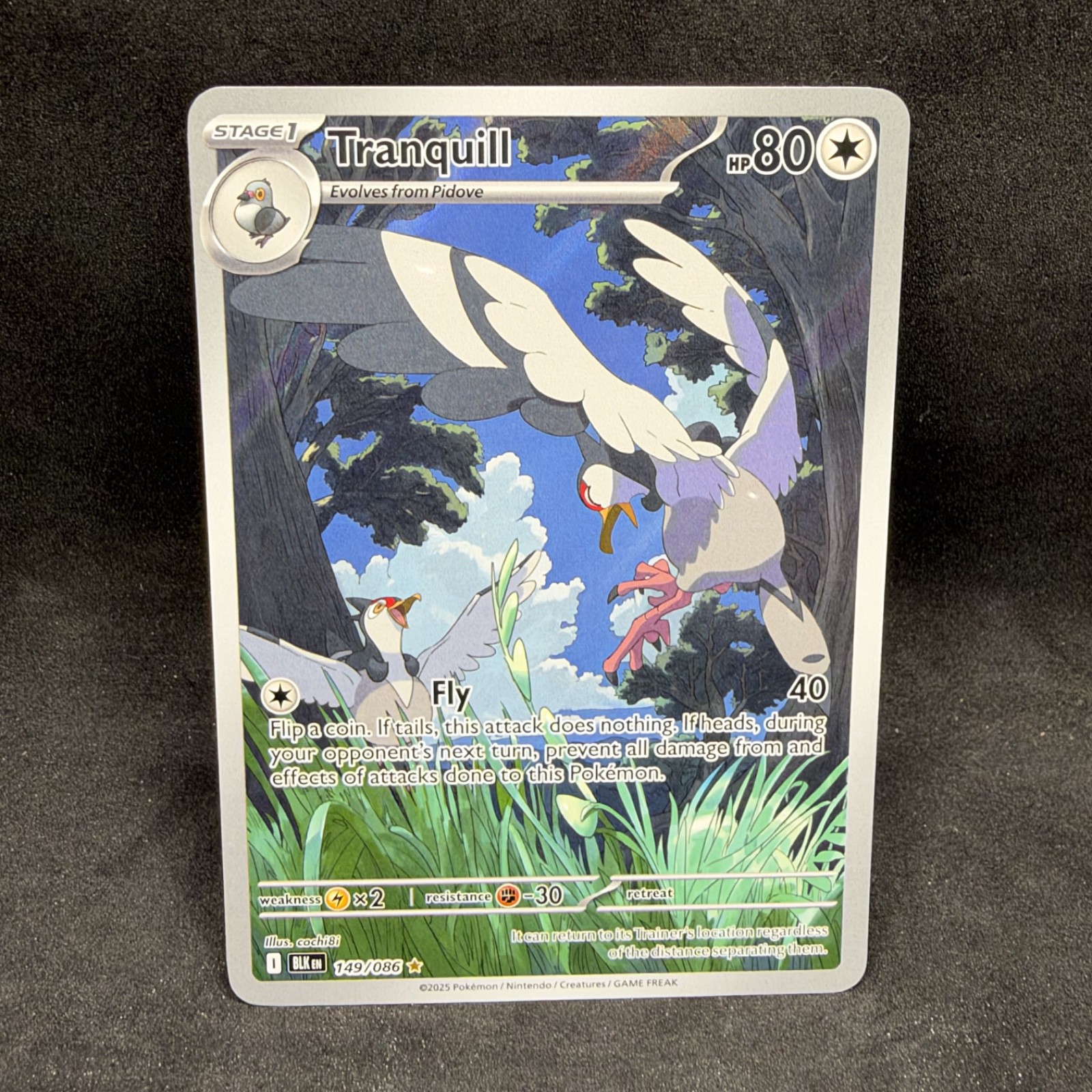 Pokemon TCG - Tranquil 149/086 Illustration Rare - S&V EN Black Bolt - NM