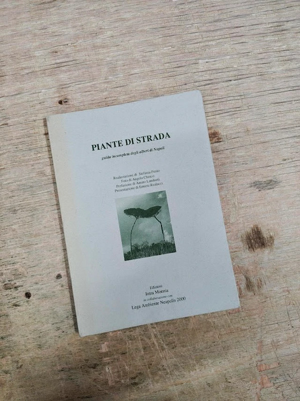 Libro Piante Di Strada Guida Incompleta Degli Alberi Di Napoli Intra Moenia