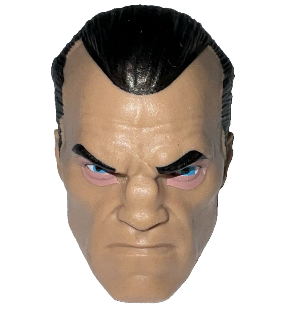 Marvel Legends TESTA DI PUNISHER da motociclisti serie 6" figure