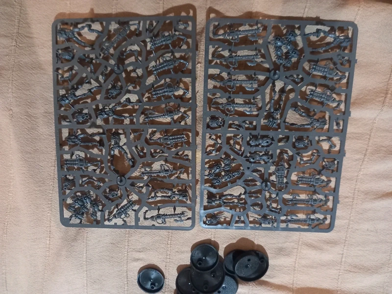 Guerriers necrons warhammer 40k