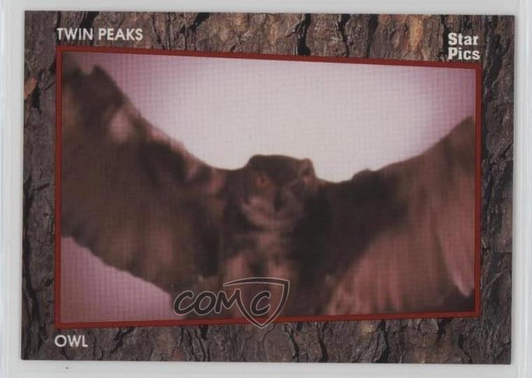 1991 Star Pics Twin Peaks Edizione Limitata Gufo #65 18md