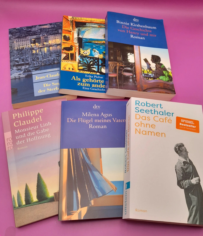 Literarisches Bücherpaket mit 6 Romanen – gut erhalten