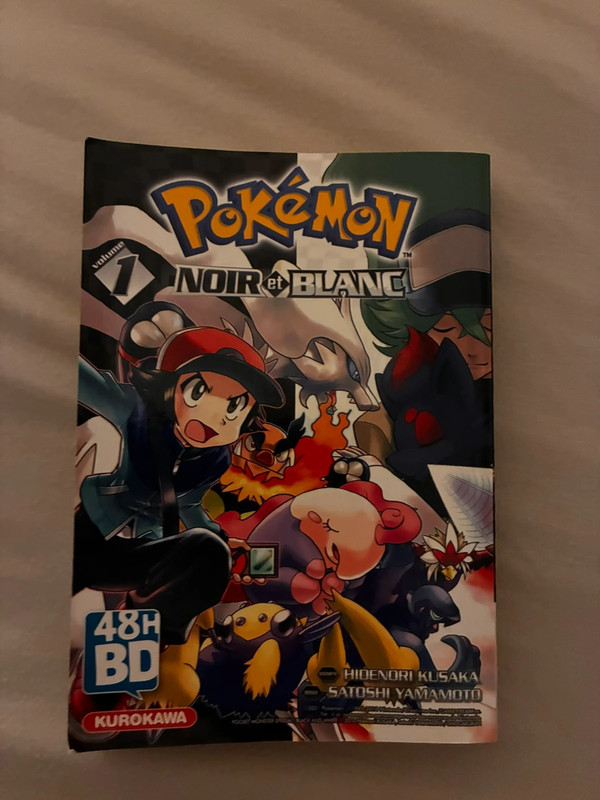 Pokémon noir et blanc 1
