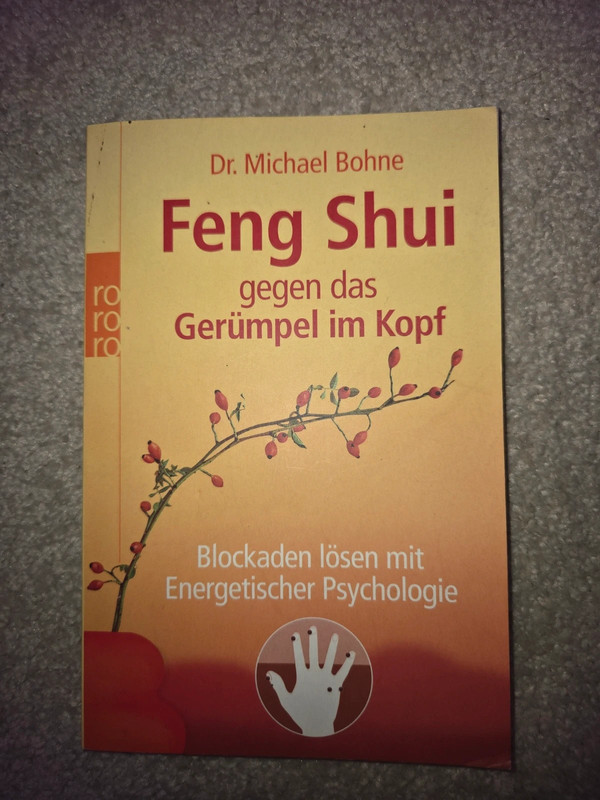 Buch Feng Shui