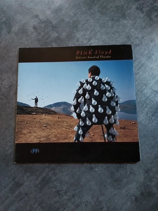 Vinyle Pink Floyd Delicate Sound Of Thunder