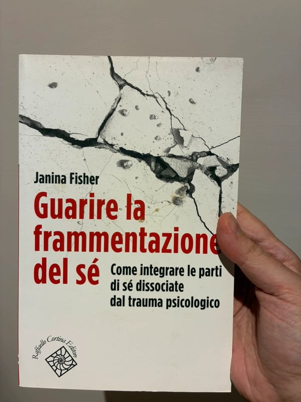 Guarire la frammentazione del sé - Janina Fisher | Raffaello Cortina Editore