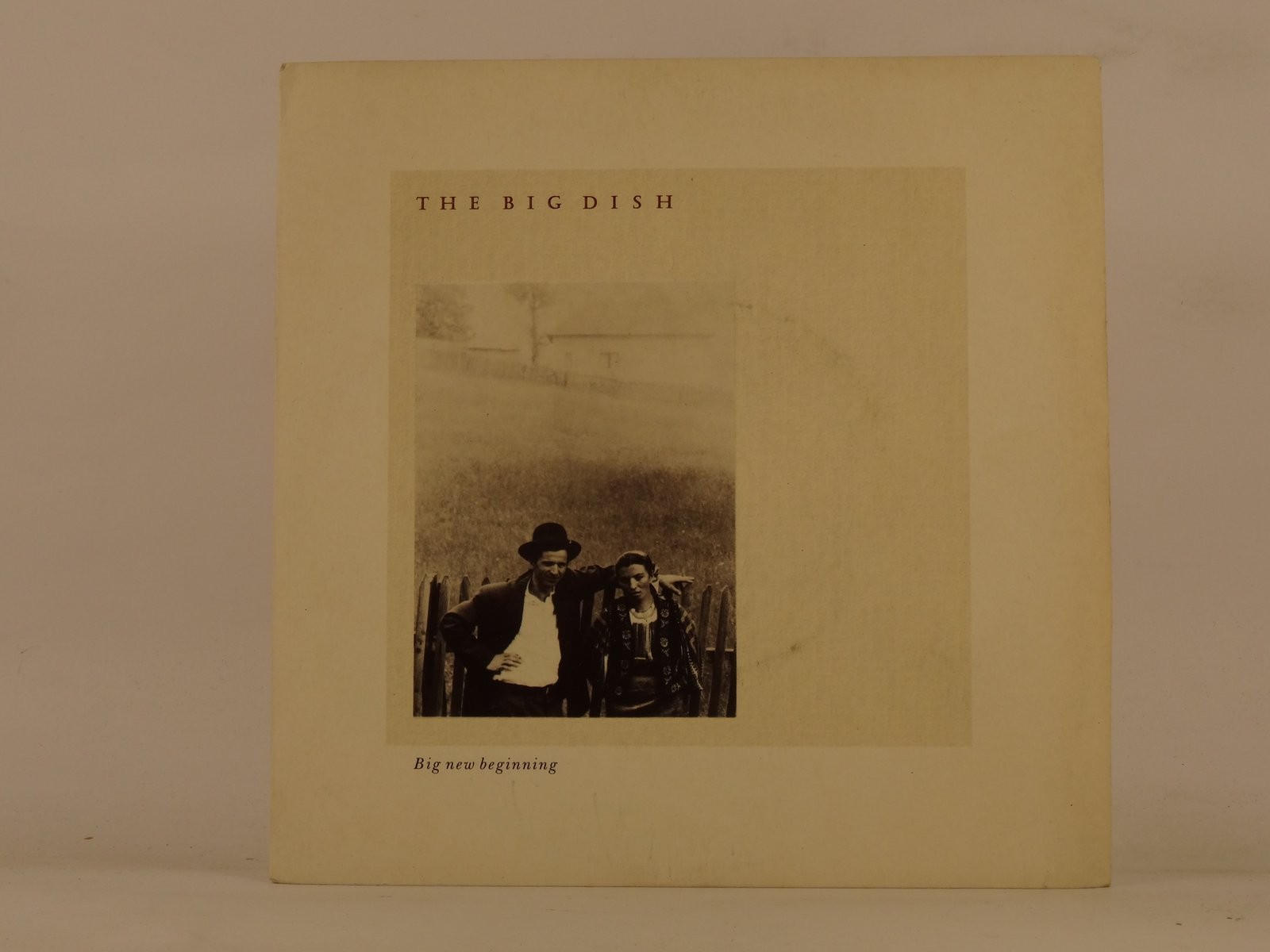 BIG DISH BIG NEW BEGINNING (1) (137) 7" VIRGIN
