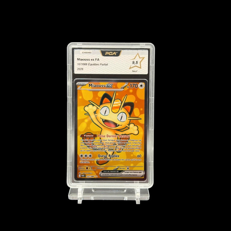 Miaouss ex FA 107/088 Équilibre Parfait PCA 9.5