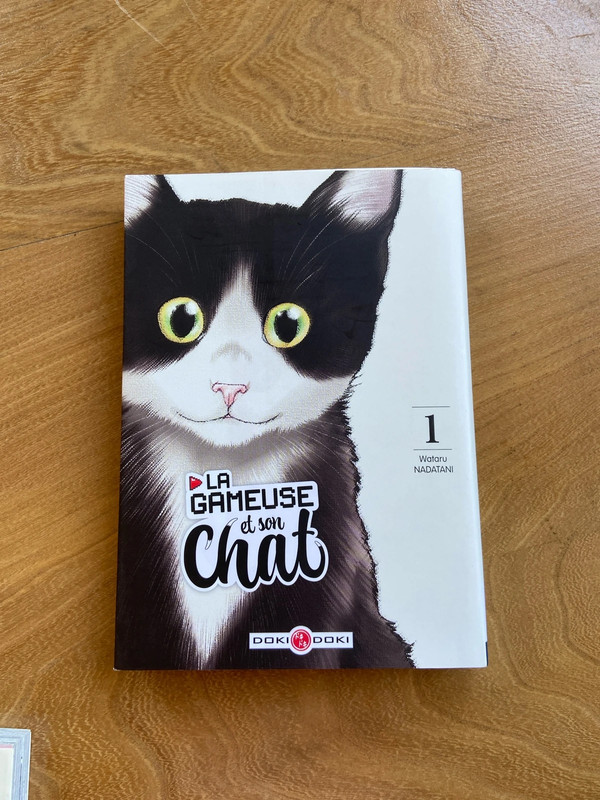 Manga la gameuse et son chat
