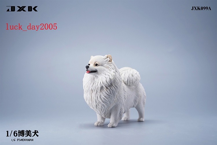 JXK JXK099A Cane Pomerania 1/6 adatto per figura da 12 pollici