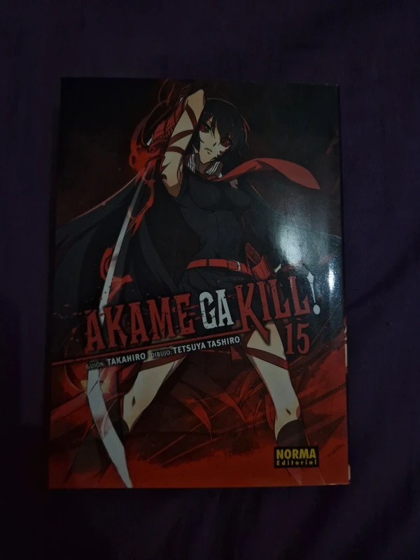 Akame ga kill 15
