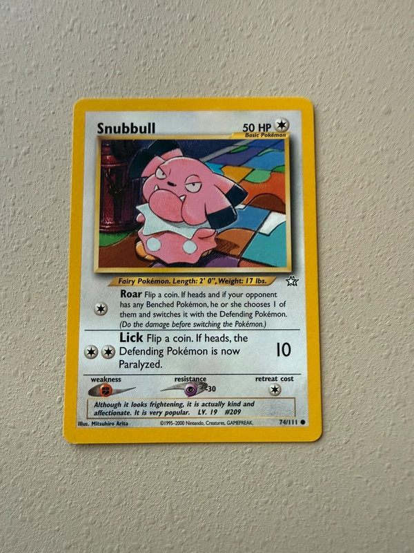 Pokemon snubbull