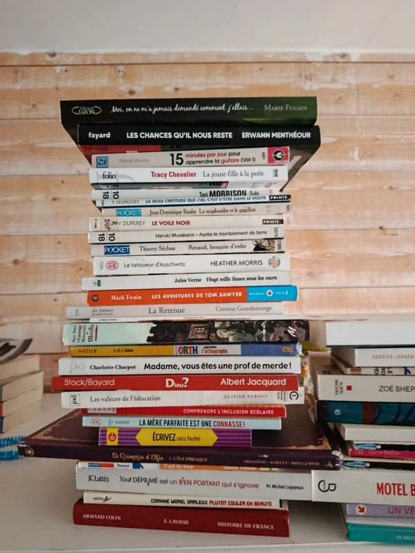 Lot de livres divers