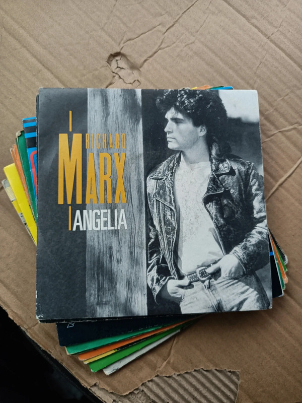 Lot 10 Vinyles 45T Indie Rock New Wave 80s - Richard Marx Jean Leloup Housemartins