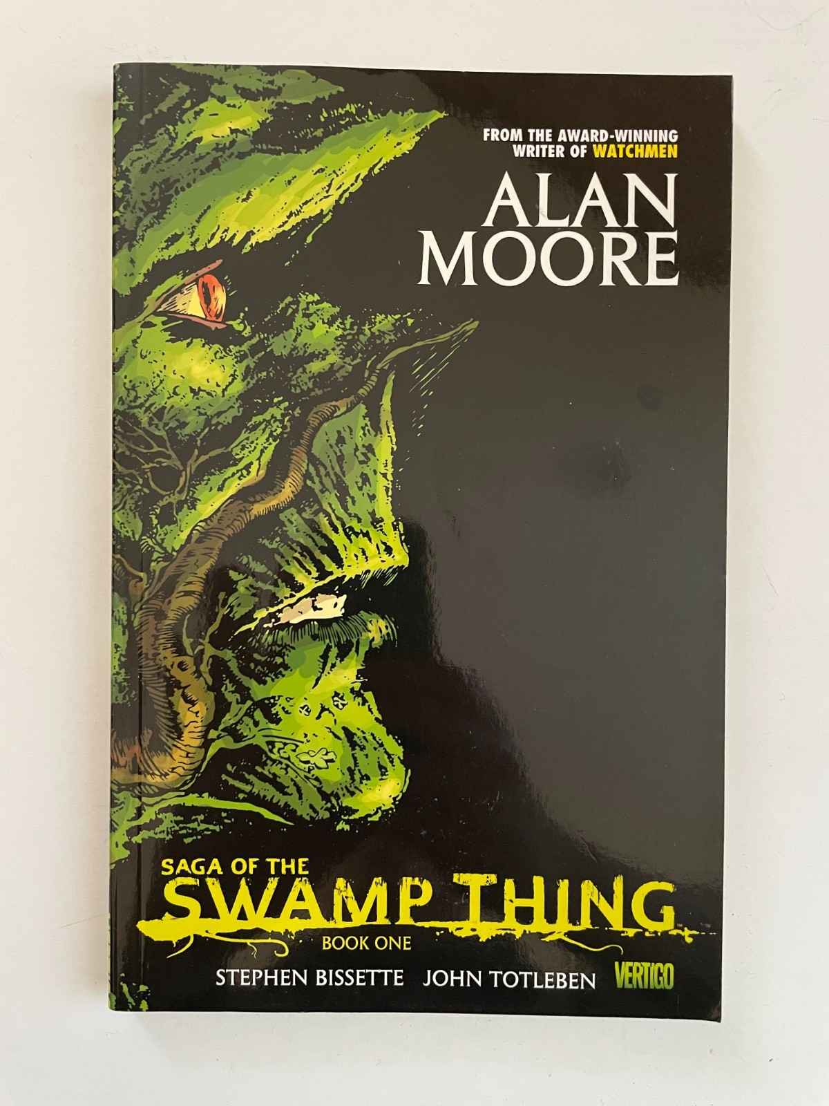 Saga of the Swamp Thing Book One DC Comics Vertigo Trade Paperback TPB 2012