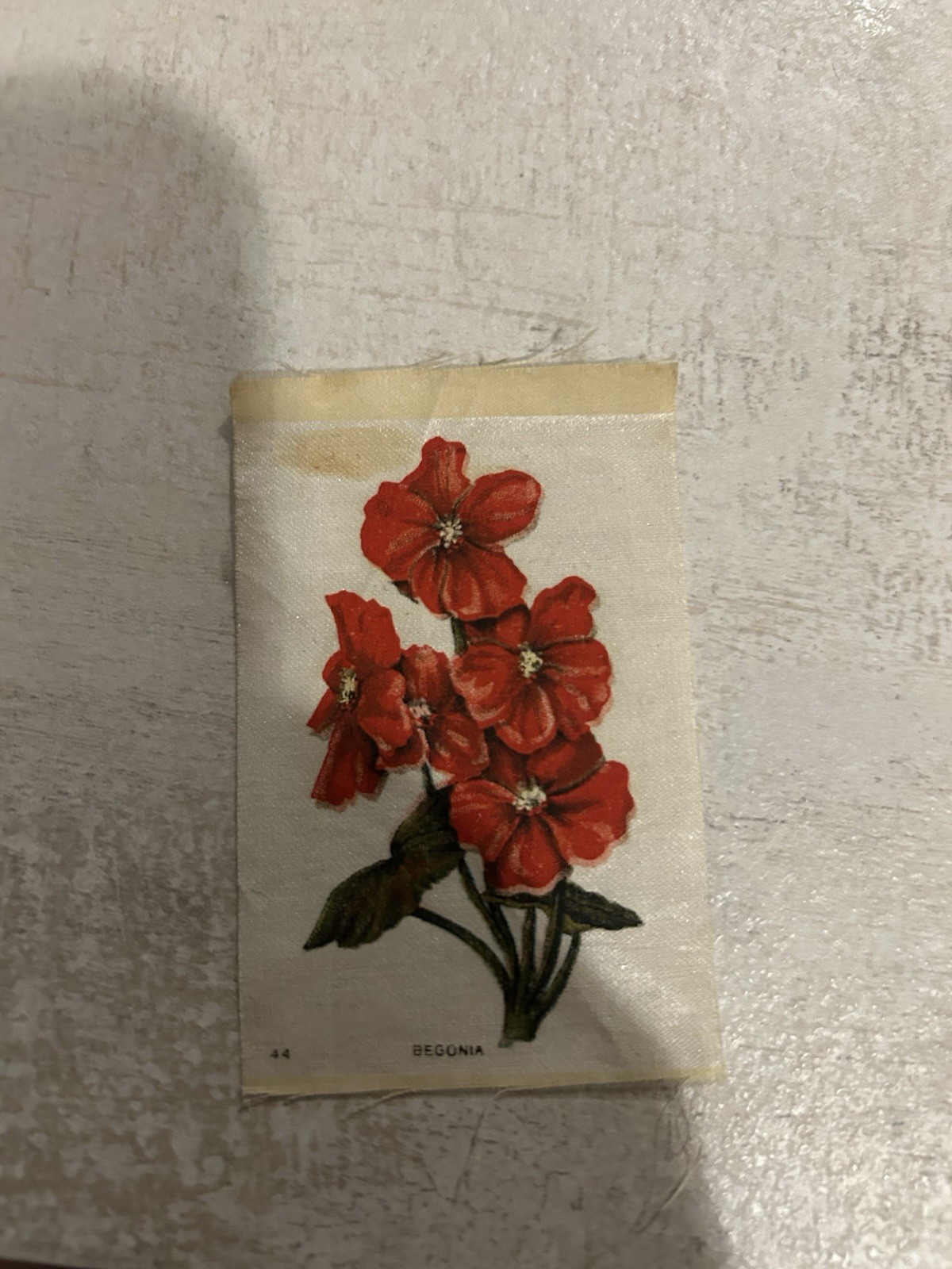 1913 ITC of Canada Garden Flowers of the World Silks Tobacco Begonia #44 0ji1