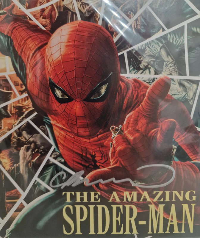 The Amazing Spider-Man #11 Marvel Visions Variant – Firmato da Lee Bermejo