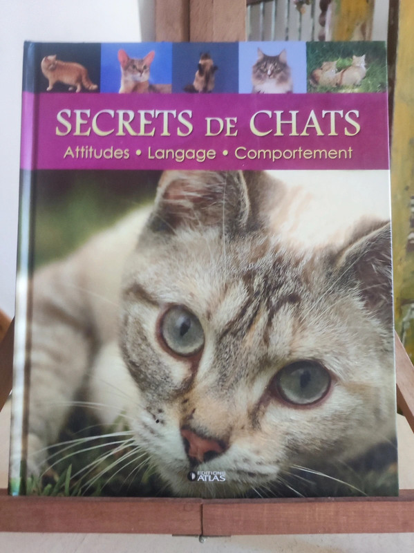 Secret de chat