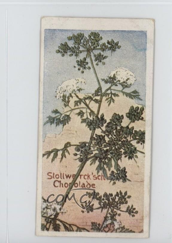 Album cioccolatini 1899 Stollwerck 3 edizione alimentare prezzemolo cane #112-6 15ia