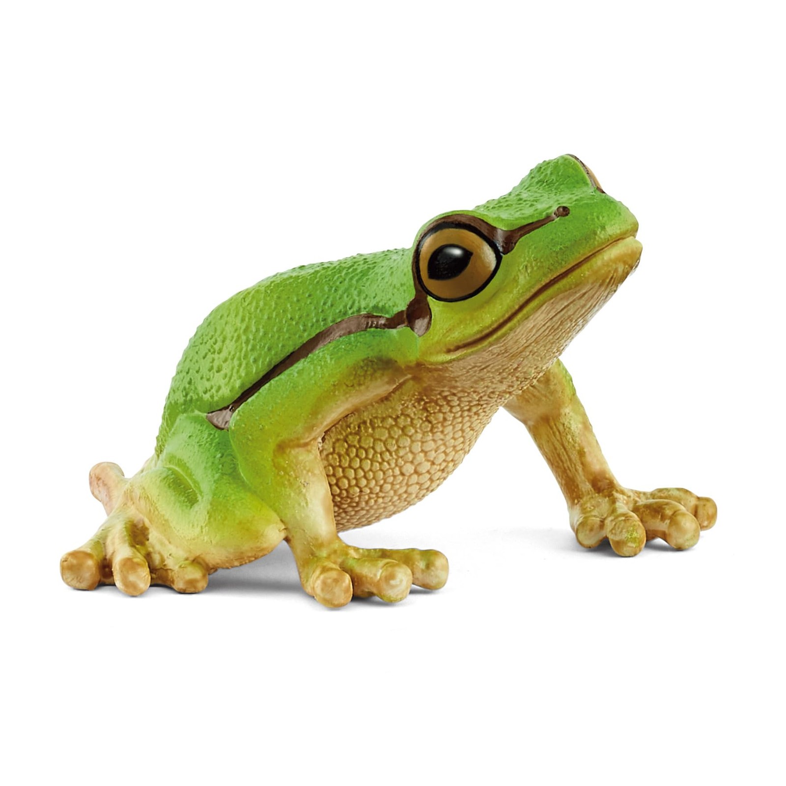 schleich 14882 Rana arborícola europea, da 3 anni, WILD LIFE - figura, 4 x 5 x 3