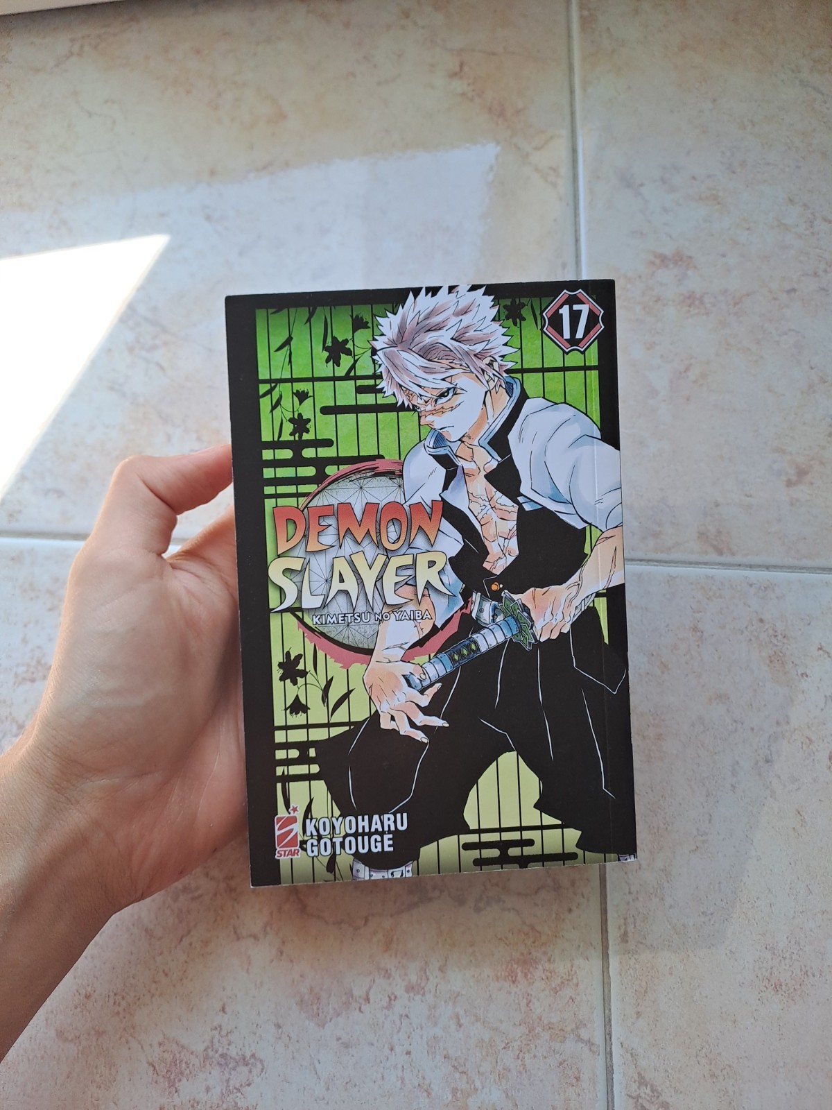 Manga Collection Lot(14 manga)