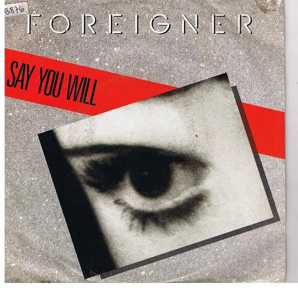 Foreigner Say You Will Vinyl Singolo 7'' 45 RPM Near Mint Atlantic 1987
