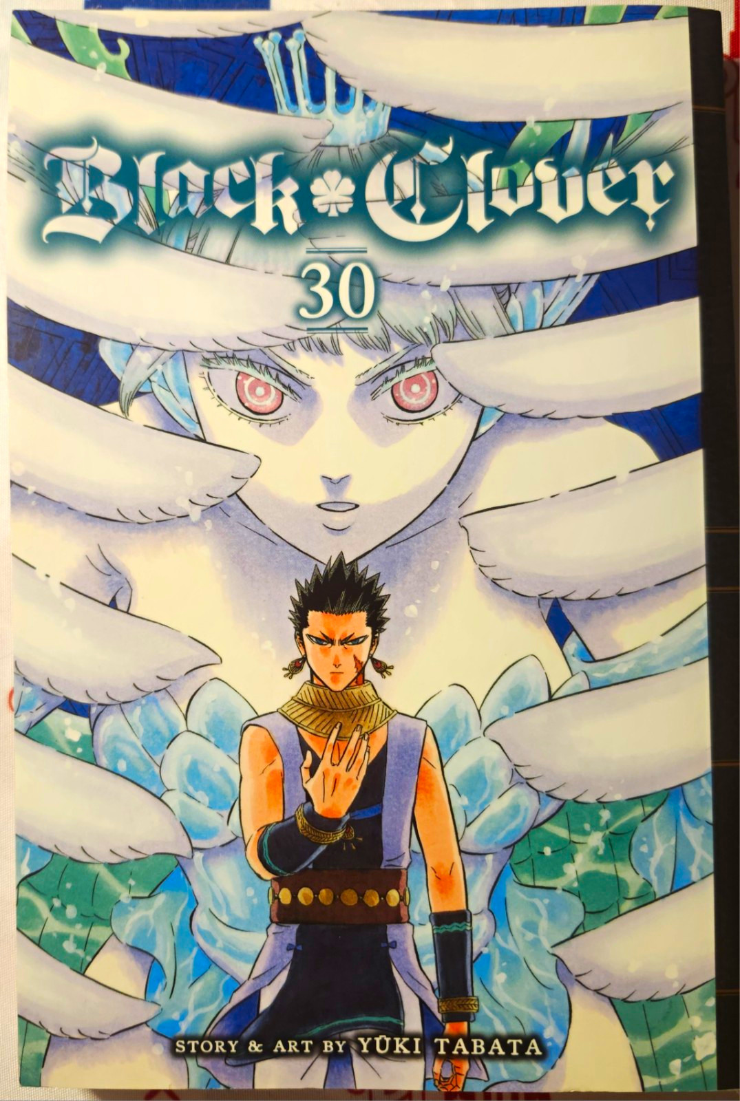 Quadrifoglio nero vol. 30 Buone notizie Yuki Tabata VIZ Media inglese TPB